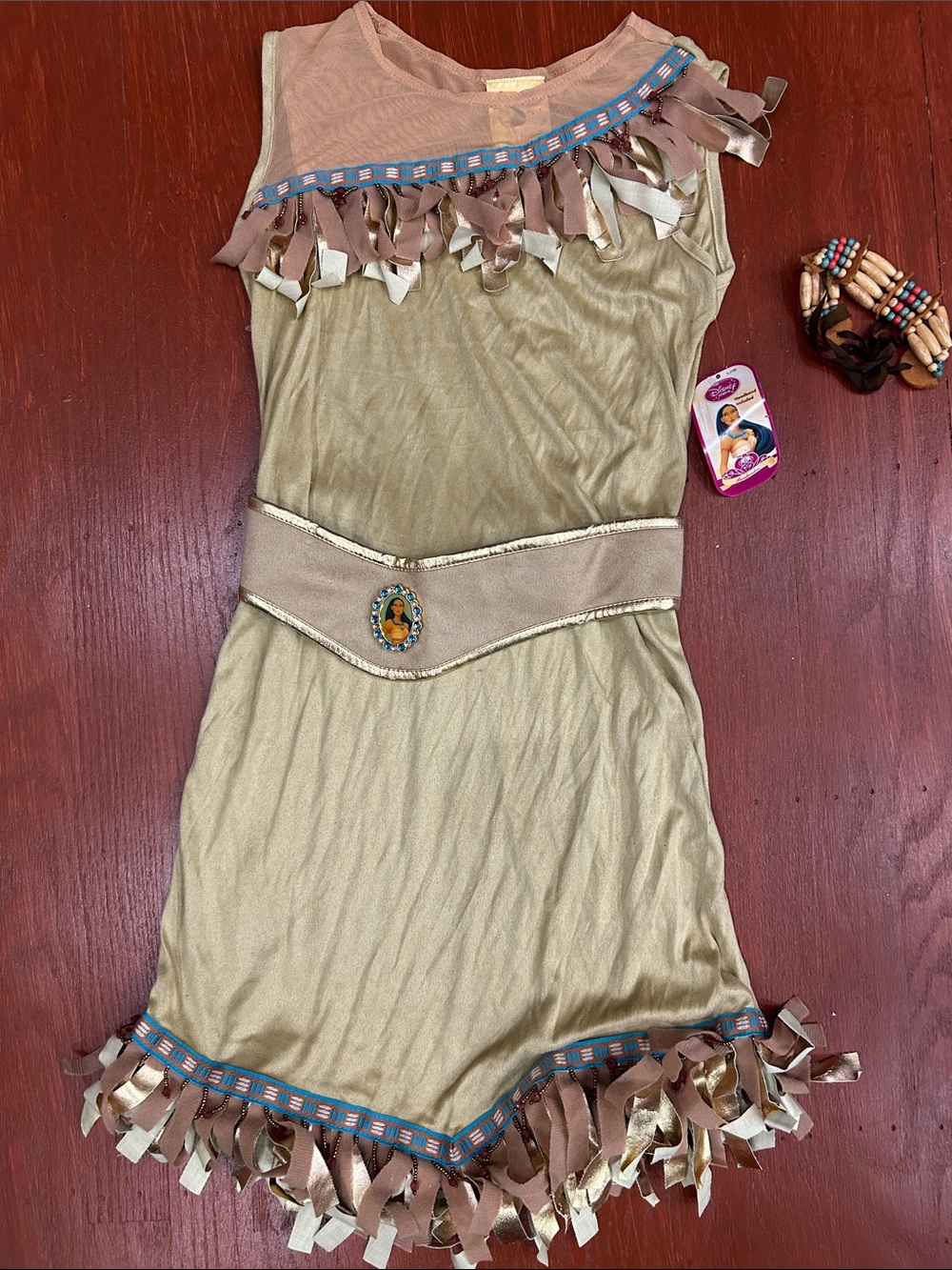 Disney Gold and Pink Fringe Dress Set